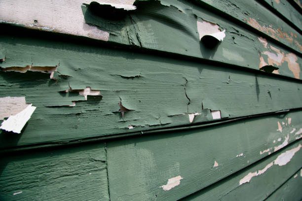 Best Same-Day Junk Removal Services  in Shenandoah Junction, WV